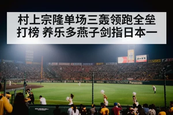 Japanese baseball stadium night game