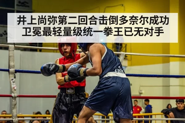 boxing action punch
